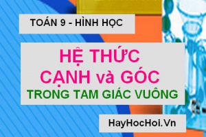 Hệ thức về Cạnh và Góc trong tam giác vuông, Bài tập vận dụng - Toán lớp 9